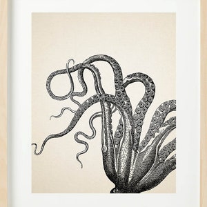 VINTAGE OCTOPUS Print Set of 4 Bathroom Wall decor Beach House image 5