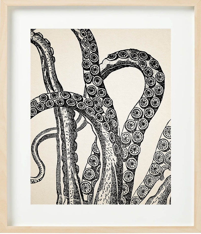 VINTAGE OCTOPUS Print Set of 4 Bathroom Wall decor Beach House image 4