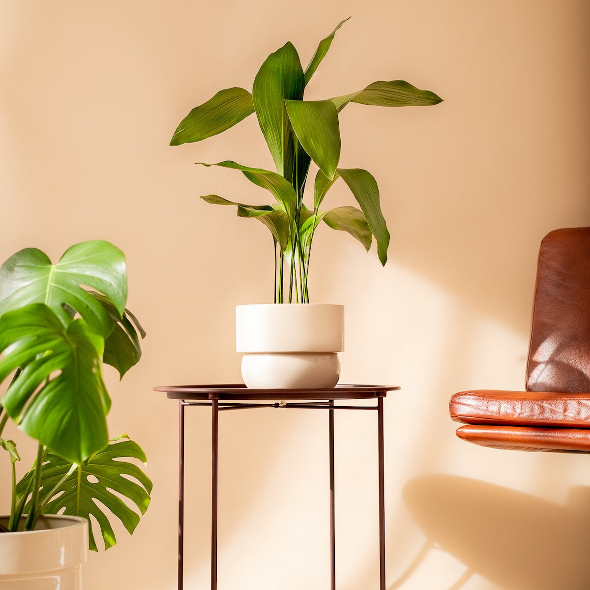 Large Planter
