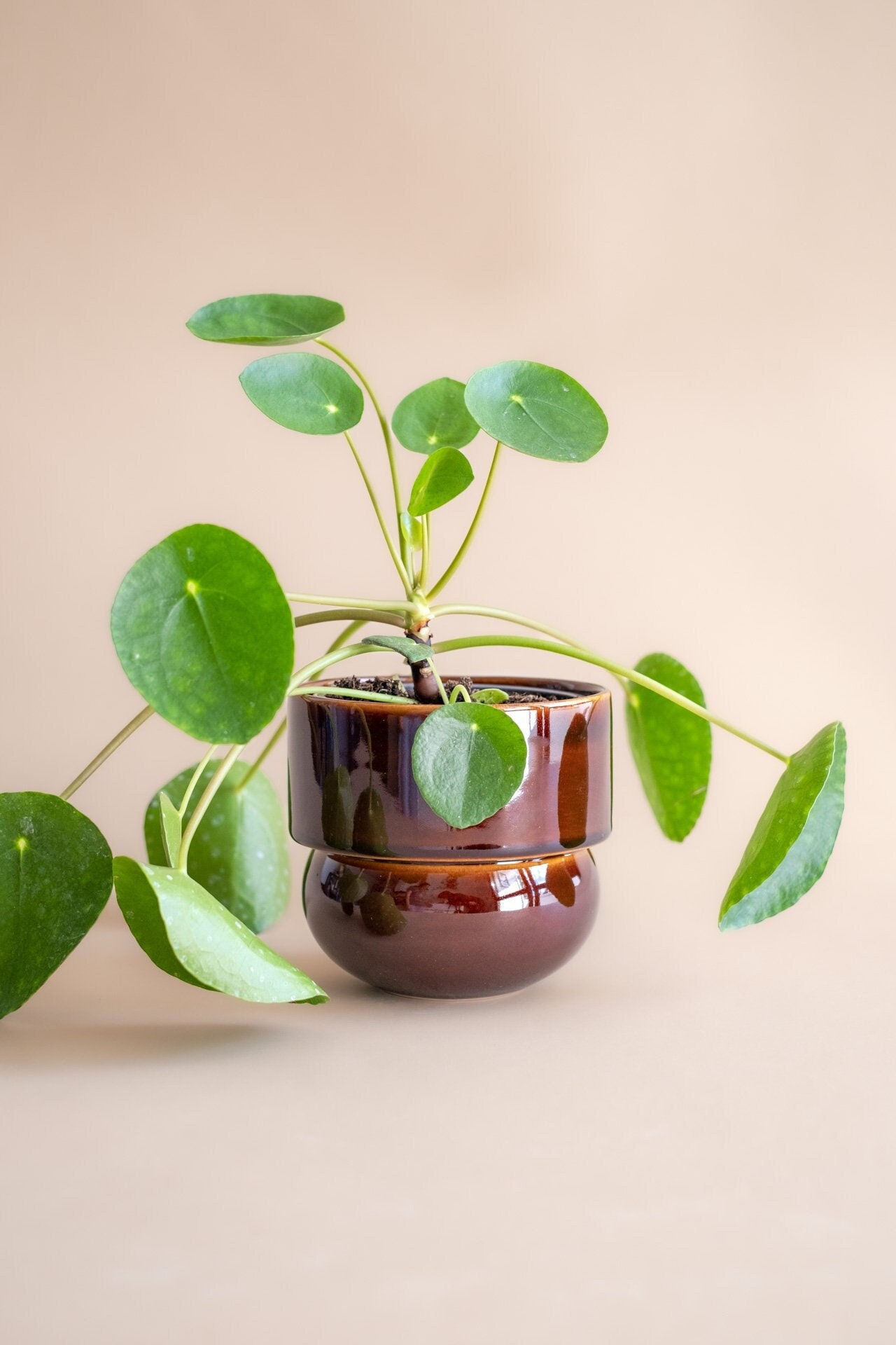 Ceramic Planter, Handmade Pot, Vintage Boho Flower Pot, Honey