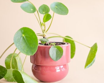 Ceramic Planter, Handmade Pot, Vintage Boho Flower Pot,  DARK PINK
