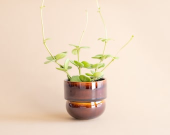 Mini Pottery Succulent Pot, Honey Glaze, Boho Decor