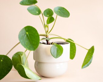 Ceramic Planter, Handmade Pot, Vintage Boho Flower Pot,  Beige