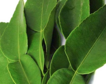 May include: A bunch of fresh green kaffir lime leaves, a popular ingredient in Southeast Asian cuisine.