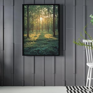 Großformatiger Kunstdruck mit detaillierter Waldszene und magischen Lichteffekten, ein eindrucksvolles Highlight für alle, die Natur und Waldlandschaften lieben.