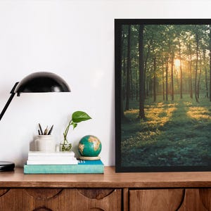 Waldposter mit hohen Bäumen, subtilen Schatten und sanften Lichtstrahlen, das Ruhe, Balance und Harmonie in deine Einrichtung bringt.