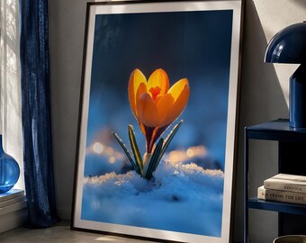 Orange Crocus Poster in Snow | Botanical Winter Wall Art | Matte Spring Flower Print | Nature Photography Decor