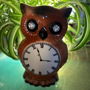May include: A brown ceramic owl ornament with a clock face. The owl has black eyes with sparkling details and a black beak. The clock face displays Roman numerals and black hands.