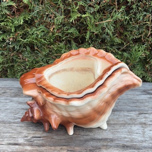 Peut inclure: Un récipient en céramique en forme de coquillage avec un couvercle. Le récipient est principalement marron avec des accents crème et une finition brillante. Le coquillage a une surface texturée et détaillée et repose sur une surface en bois.