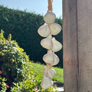 May include: A bunch of white garlic bulbs tied together with a natural rope, hanging in front of a green hedge and a wooden post. The sunlight highlights the texture of the garlic.