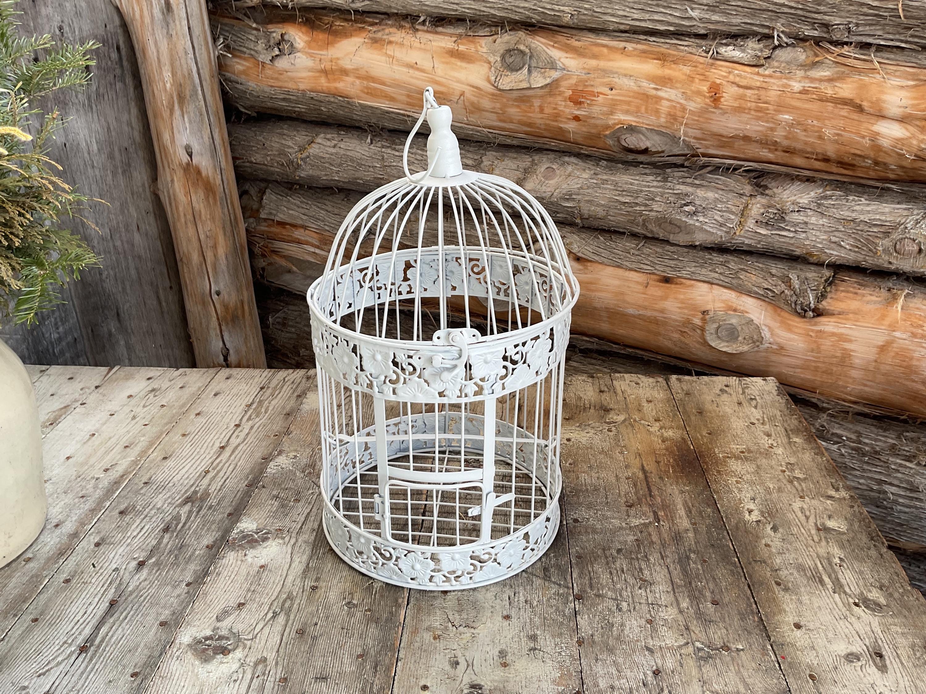 Robin Williams y Nathan Lane: Un Vínculo Inquebrantable, image size:3000x2250