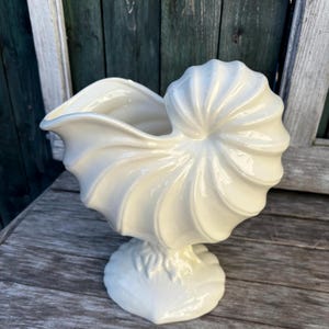 May include: A cream-coloured ceramic nautilus shell-shaped vase. The vase has a spiral design on the side and a pedestal base. The opening of the vase is wide and open. The vase is a decorative item.