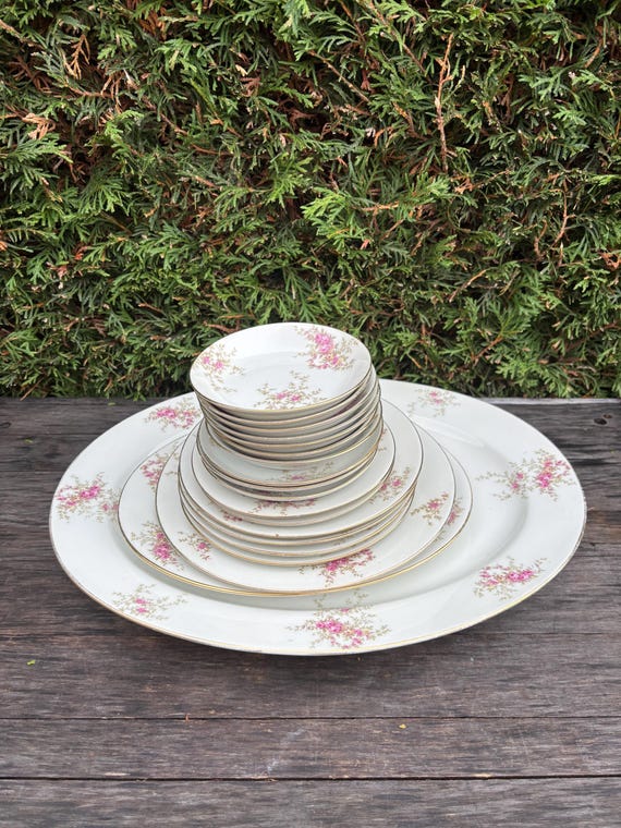 19 Pieces Antique Limoges-france Porcelain Dinner Service, Hand