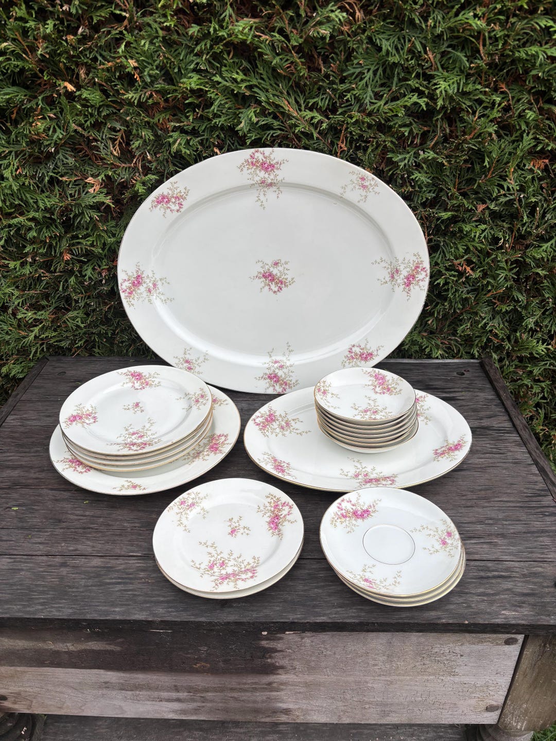 フランス製　Limoges ROSE DE LIMOGESディナープレート ペア Baltimore Rose Dinner Plates from Haviland Limoges, 1888, Set of 6