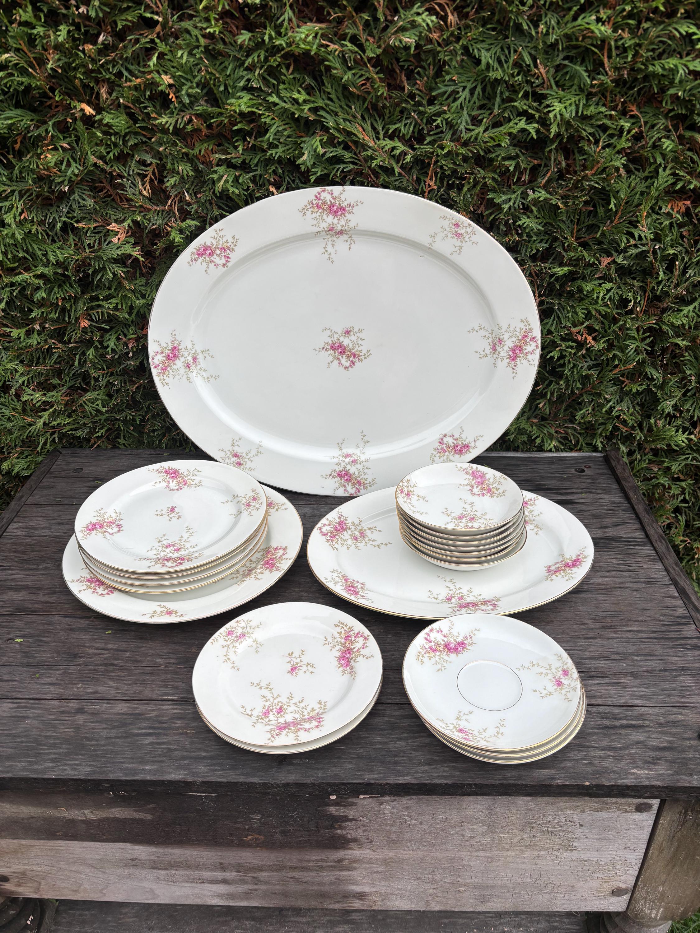 19 Pieces Antique Limoges-france Porcelain Dinner Service, Hand