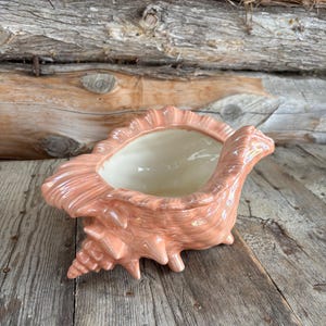 Ceramic Violet Pot with Insert - Self Watering Pot - Shell Planter - Vintage seashell-shaped plant pot.