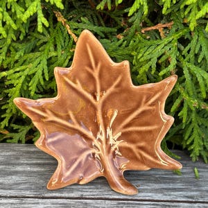 Puede incluir: Un plato de cerámica marrón con forma de hoja y vetas detalladas. El plato es brillante y se encuentra sobre una superficie de madera desgastada, con un fondo de follaje verde. Un artículo decorativo.
