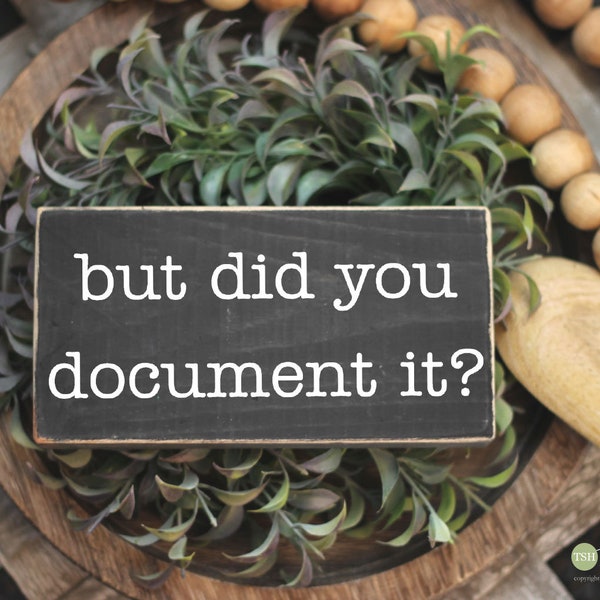 But Did You Document It? Sign - Office Humor - Desk Signs - Mini Sign - Desk Decor - Humor Funny Wood Signs - Office Accessories M335