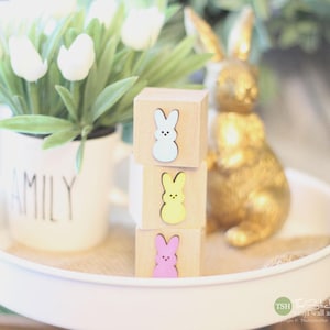 May include: A stack of four wooden blocks with a pastel-colored bunny design on each block. The bunnies are white, yellow, pink, and blue. The blocks are stacked on a white tiered tray with a gold bunny figurine and a white mug with the word "FAMILY" on it.