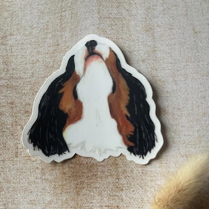 Hondensticker, zwart, Cavalier King Charles, doorzichtige huisdiersticker, hondenkunst, neus omhoog, cadeau, cadeau hondenliefhebber, gestanst, 3 x 3 inch, matte afwerking