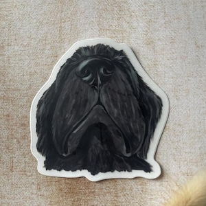 Hondensticker, zwart, Newfoundland, doorzichtige huisdiersticker, hondenkunst, neus omhoog, cadeau, cadeau hondenliefhebber, gestanst, formaat 3 x 3 inch, matte afwerking