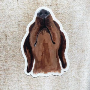 Dog Art Sticker, huisdiersticker, bruine teckel, neus omhoog, cadeau, cadeau hondenliefhebber, gestanst, duidelijke stickers 3 x 3" formaat, matte afwerking