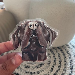 Hondensticker, kunst, bruine labrador, huisdiersticker, hondenkunst, neus omhoog, cadeau, cadeau hondenliefhebber, huisdiersticker, duidelijke stickers 3 x 3", matte afwerking