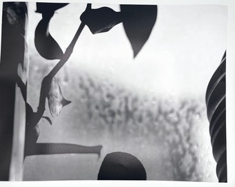 Rainy Day Black and White Photography