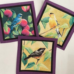 May include: Three fabric squares with purple borders and a white background. Each square features a different bird illustration. The first square shows a blue bird with a red breast perched on a branch with green leaves and red fruit. The second square shows a yellow bird with a black head perched on a branch with green leaves. The third square shows a black and white bird perched on a branch with green leaves.