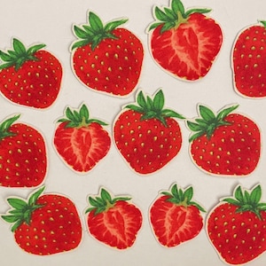 Könnte beinhalten: Eine Sammlung roter Erdbeer-Patches mit grünen Blättern. Einige Erdbeeren sind ganz, andere sind halbiert und zeigen das Innere. Die Patches sind wahrscheinlich für Näh- oder Bastelprojekte gedacht.