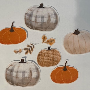 Può includere: Sei zucche di stoffa a tema autunnale in vari motivi e colori. Ci sono due zucche arancioni, due zucche bianche con accenti marroni e due zucche a quadri grigi e bianchi. Ci sono anche due piccole foglie marroni.