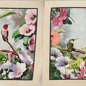 Nuevos parches de colibrí: apliques termoadhesivos para tela