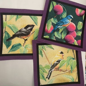 May include: Three square art prints featuring colorful birds. One print shows a black and orange bird on a branch with green leaves against a yellow background. Another depicts a blue bird with red plums. The third print shows a yellow bird.