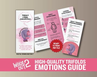 Inside Out 2 Emoties Folder Gids Gevoelens GEMEENSCHAP Emotie Emotionele regulatie voor schoolbegeleiding Bronnen Brochure copingvaardigheden