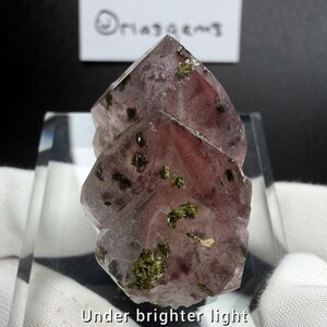 Garden Series: Rare Garden Quartz Crystal w/ Green Epidote Mineral Specimen Rock Stone For Diorama/Home Decor