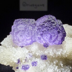 Könnte beinhalten: Zwei markante, durchscheinende violette, würfelförmige Fluoritkristalle mit sichtbaren internen Zonierungsmustern, die auf einer Ansammlung kleiner, weißer, kristalliner Mineralformationen ruhen. Die violetten Kristalle weisen eine geometrische Struktur auf.