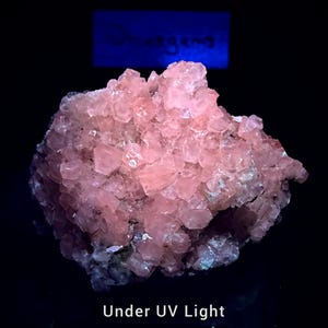 May include: A cluster of translucent pink mineral crystals glowing under ultraviolet light. The specimen features numerous small, angular, geometric crystal formations. A blue rectangular sign with the text "omergems" is visible above the mineral.