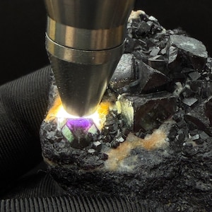 Alien eye fluorite - Etsy 日本
