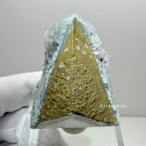 May include: A close-up of a mineral specimen with a triangular shape. The specimen features a gold-colored center with a textured surface, surrounded by light blue-gray crystalline formations. The base is a darker gray color.