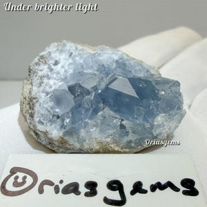 May include: A rough, natural celestite crystal cluster with a striking blue hue. The crystal is partially embedded in a matrix of grey rock. The image includes the text "Under brighter light" and the seller's name, "Oriasgems."