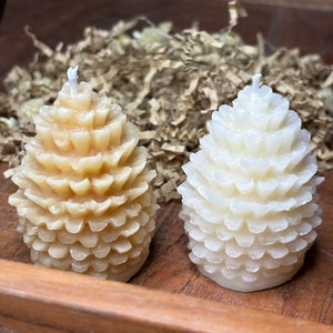 Tallkotteljus, 2 st, höstinredning, sojaljus, dekorativa ljus, höstljus
