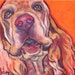 Profilbild von colormutts