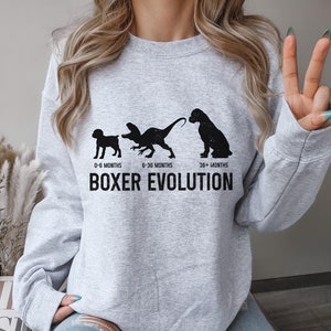 May include: A gray sweatshirt with a black graphic of a boxer dog at different ages. The graphic shows the dog as a puppy, a young dog, and an adult dog. The text "Boxer Evolution" is printed below the graphic.