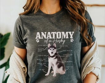 May include: A gray t-shirt with a white graphic of a husky dog. The graphic is labeled "Anatomy of a Husky" and includes humorous descriptions of the dog's features, such as "Clever Mind", "Soulful Eyes", and "Snack Detector".