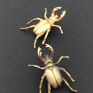 Stag Beetle Pin, Bug Pin, Insect Jewelry, Stag Beetle Jewelry, Stag Beetle Brooch, Stag Beetle Jewelry, Beetle Brooch, Insect Pin