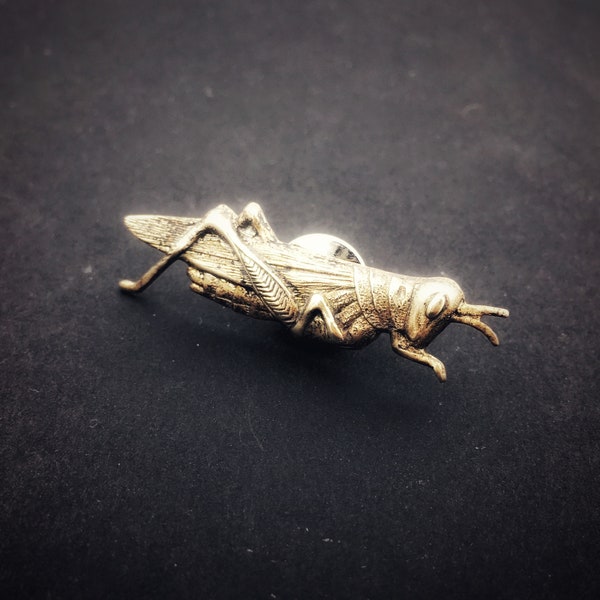 Grasshopper Pin, Bug Pin, Insect Jewelry, Grasshopper Jewelry, Grasshopper Brooch, Grasshopper Jewelry, Cricket Brooch, Cricket Pin