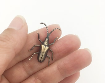 Brass Longhorned Beetle Pin, Insect Brooch, Lapel Pin