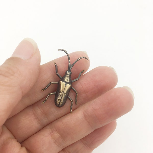 Brass Long Horned Beetle Pin, Insect Brooch, Bug Pin, Lapel Pin, Insect Jewelry, Insect Pin, Beetle Jewelry, Beetle Pin, Beetle Brooch