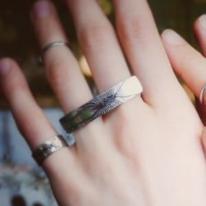 Sterling Silver Centipede Double Ring, House Centipede Ring, Insect Jewelry, Entomology Jewelry, House Centipede Jewelry