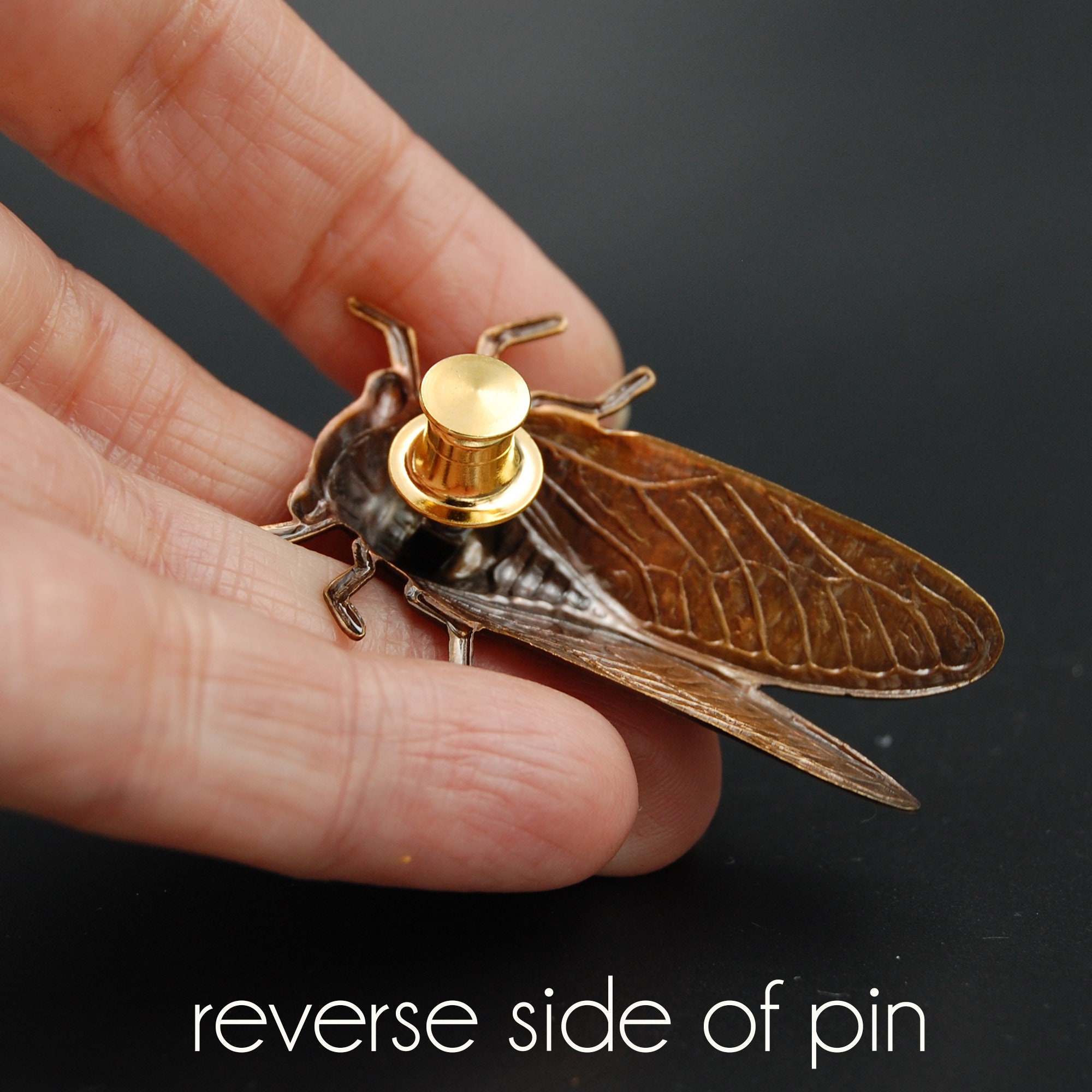 Cicada Pin, Insect Pin, Insect Brooch, Bug Pin, Bug Jewelry, Insect Jewelry,  Cicada Jewelry, Dog Day Cicada, Cicada Brooch, Cicada Jewelry 